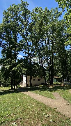 KOSMAJ, LOVACKA, MLADENOVAC, 3.0